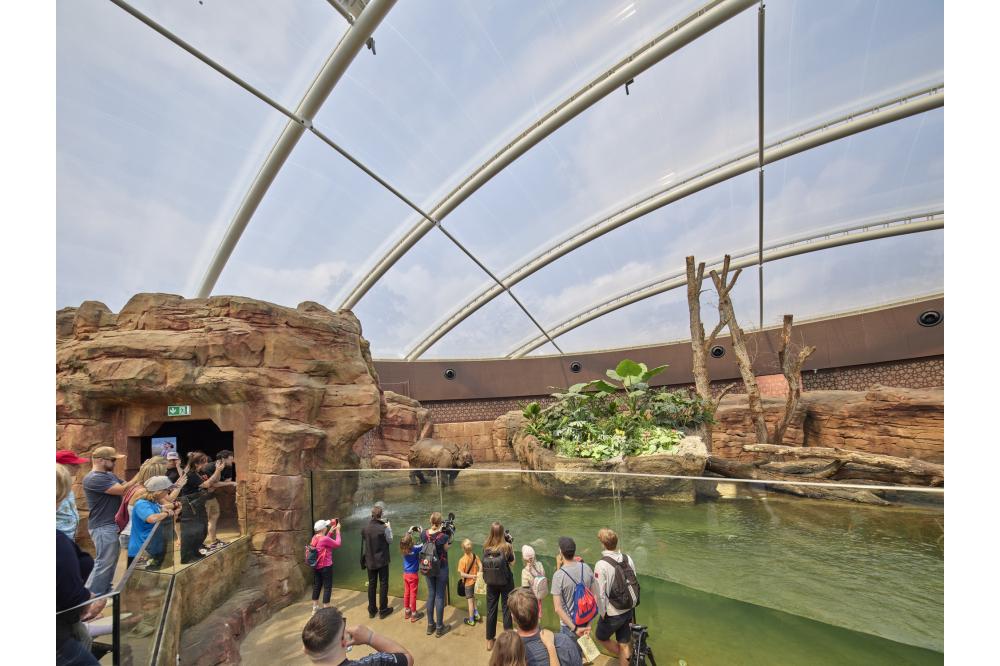 Leuchtturm f&uuml;r den Artenschutz: Zoo Berlin erstellt Wellness-Oase f&uuml;r Dickh&auml;uter.